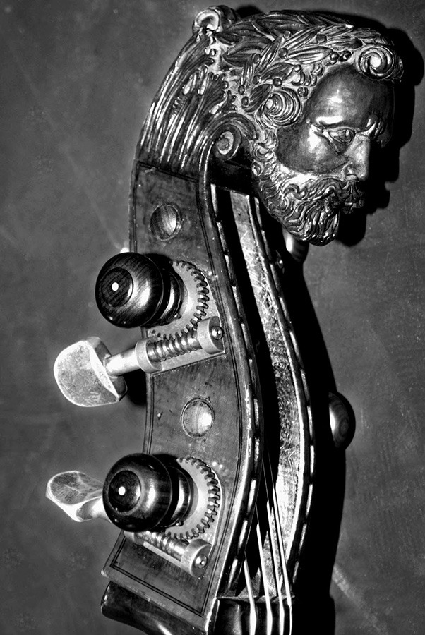 Max Dimoff's bass